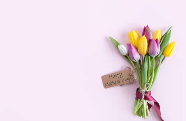 mothers day flowers - bouquet mothers day tulip flower imagens e fotografias de stock