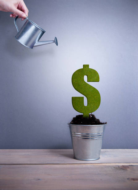 istock Dollar business growth concept 951956632