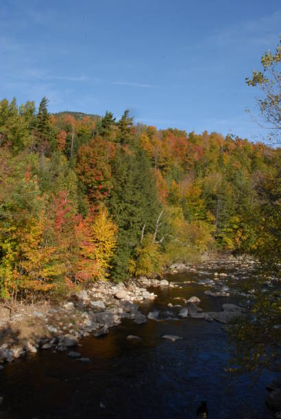 istock Autumn in the Adironandacks, NY 951960350
