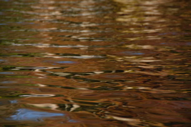 istock Autumn in the Adironandacks, NY 951963372