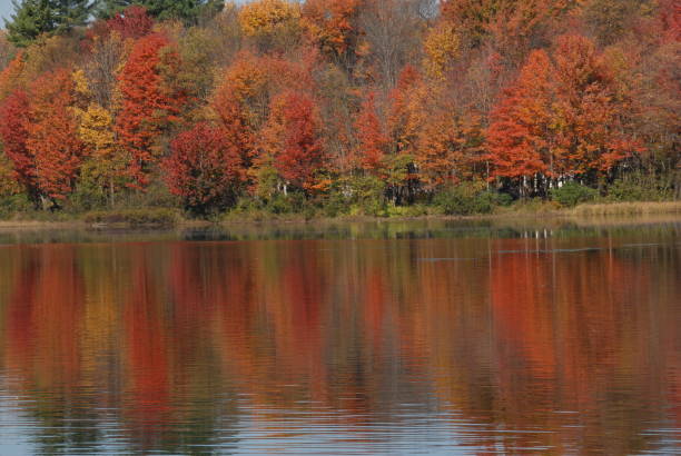 istock Autumn in the Adironandacks, NY 951963678