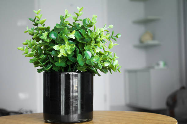 istock Plant on table.  Interior design concept for comfortable living space. 951968028