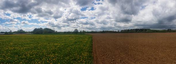 istock scenic panorama view of natural landscape under a cloudy sky 951982948