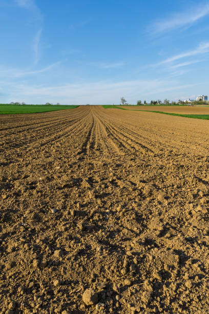 istock Germany, Brown field in springtime waiting to be worked on 951984146