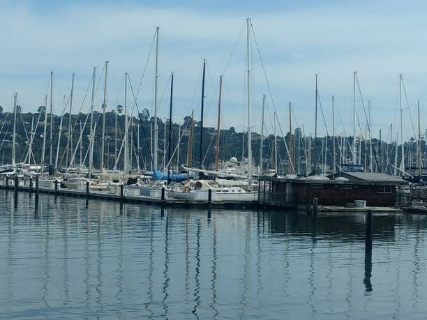 Little boats in San Francisco