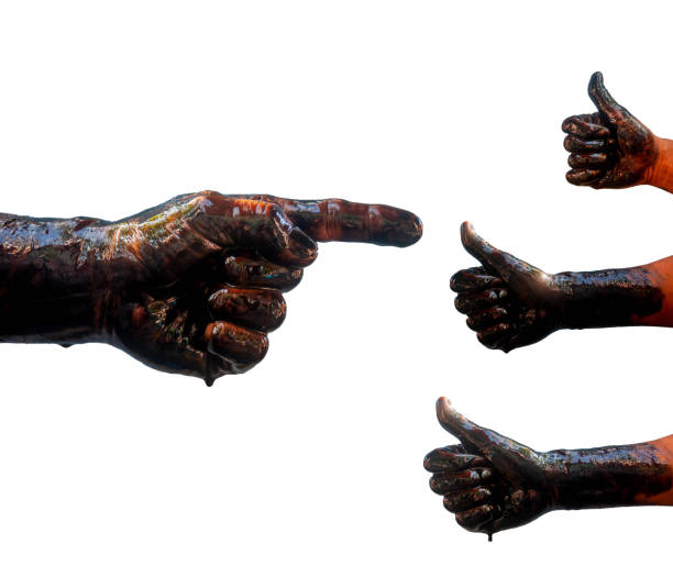 istock Isolated Stain hands showing thumbs up and hands pointing with white background (clipping path). 951989802