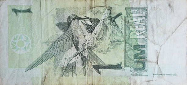 istock Numismatics - old Brazilian Money 951990132