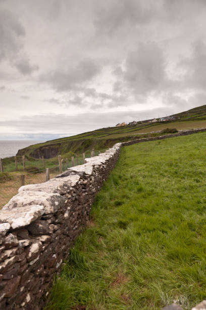 istock Dunberg Promontory Fort with Pasture 951993720