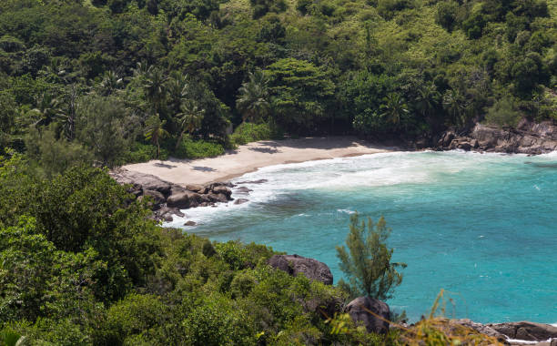istock Anse Major beach on Mahe Seychelles 951995600