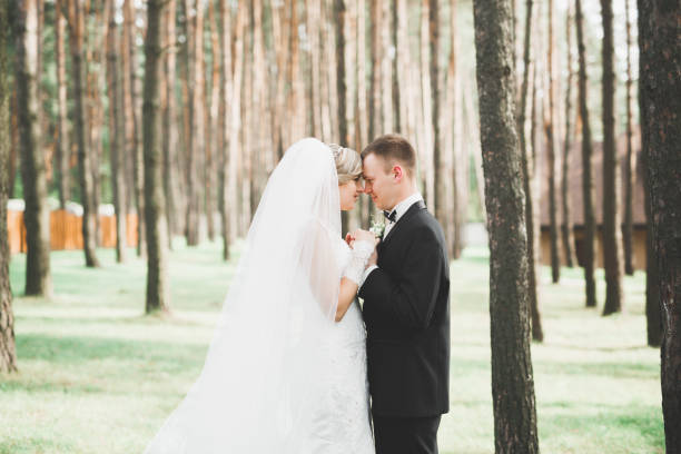 istock Happy wedding couple walking in a botanical park 952002004