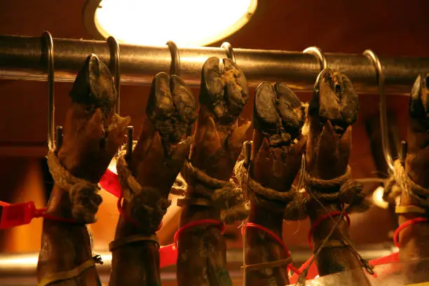Photo of Spanish jamon - traditional national spain meat hanging on the hook  in Barcelona, Spain