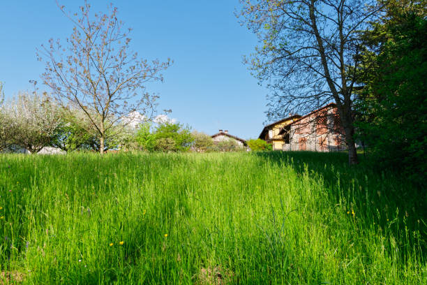 istock Spring Green meadow with trees, flowers and houses 952002422