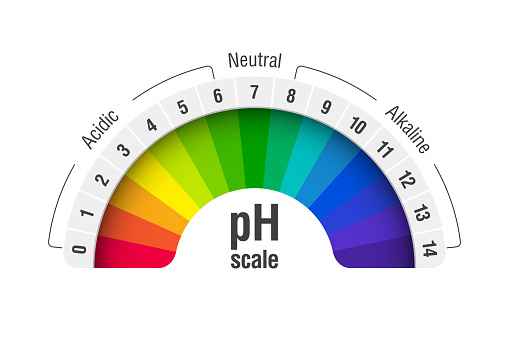 pH value scale chart for acid and alkaline solutions, acid-base balance infographic, vector illustration