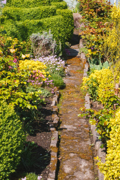 istock Beautiful Home garden Allotment in spring 952005430