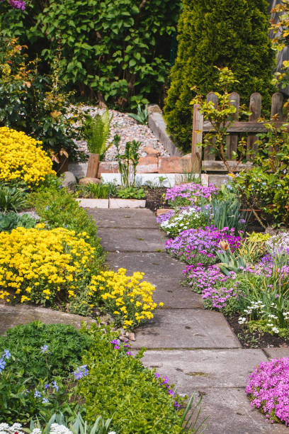 istock Beautiful Home garden Allotment in spring 952008982