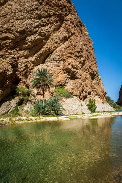oasi desertica wadi shab, sultanato dell'oman - oasis wadi al shab valley canyon foto e immagini stock