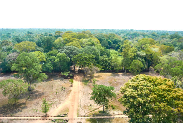 istock Prasat Thom Prang temple Angkor Era 952013172