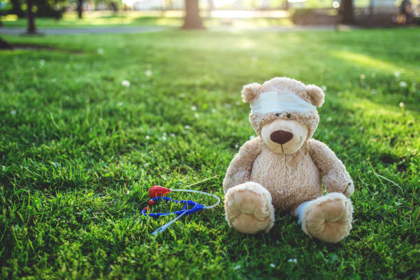 istock Teddy bear doctor sitting in the park 952015334