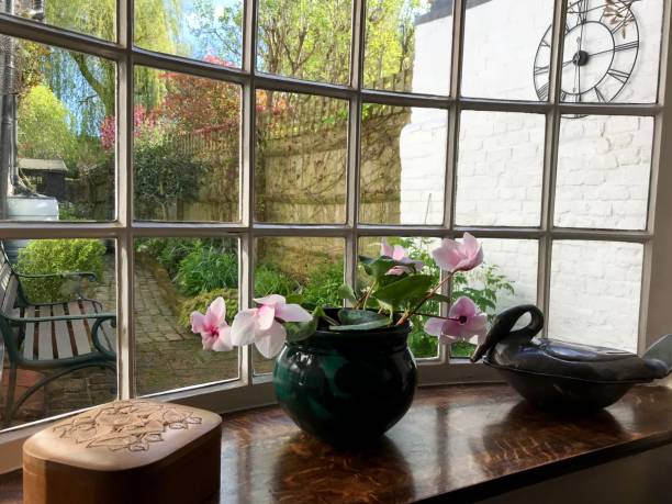 A garden view from an old English cottage window Amersham, UK - 2018: An old cottage bay window with a flowering indoor plant inside and a view of a spring garden outside amersham stock pictures, royalty-free photos & images