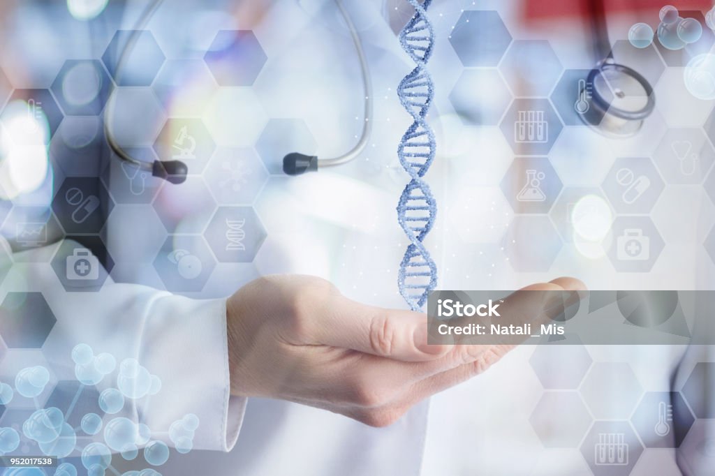 DNA molecule in the hand of the doctor . DNA molecule in the hand of the doctor on blurred background. Adult Stock Photo