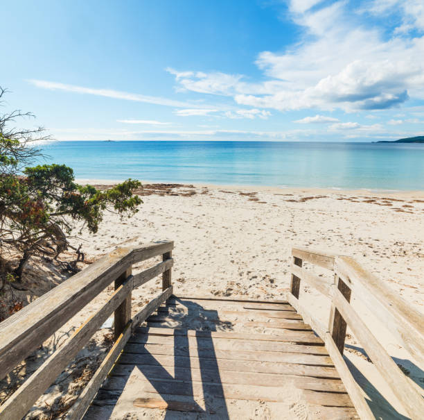 istock Wooden boardwalk in Maria Pia beach 952020192