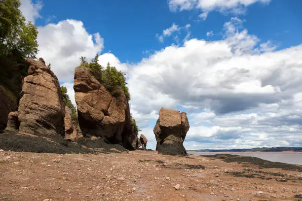 Photo of Flowerpot rocks of Hopewell, New Brunswick