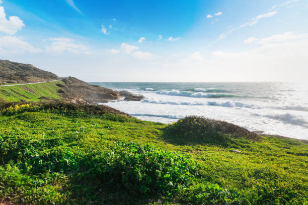 istock Green meadow by the sea in Sardinia 952020590