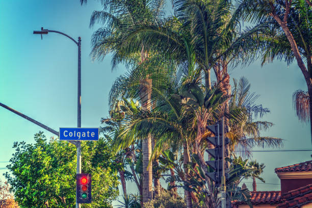 istock Palm trees in Colgate avenue 952021588