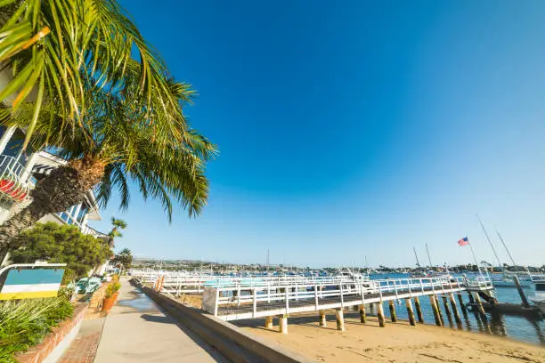 Photo of Touristic harbor in Balboa island