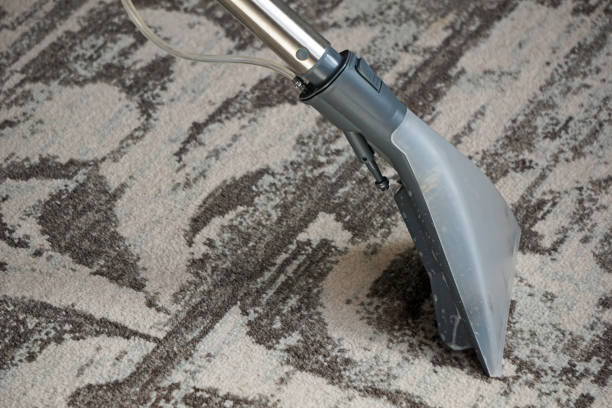 istock Washing vacuum cleaner cleans the carpet 952023412