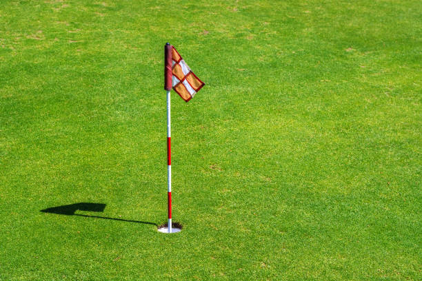 bandiera e buca da golf. - golf flag golf flag pennant foto e immagini stock