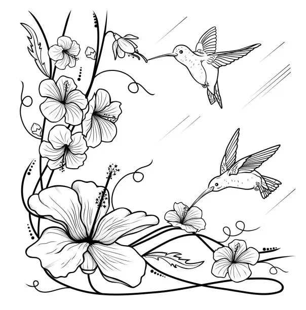 Vector illustration of Humming-birds and flowers