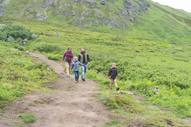 istock Family hiking on Alaska mountain 952031314