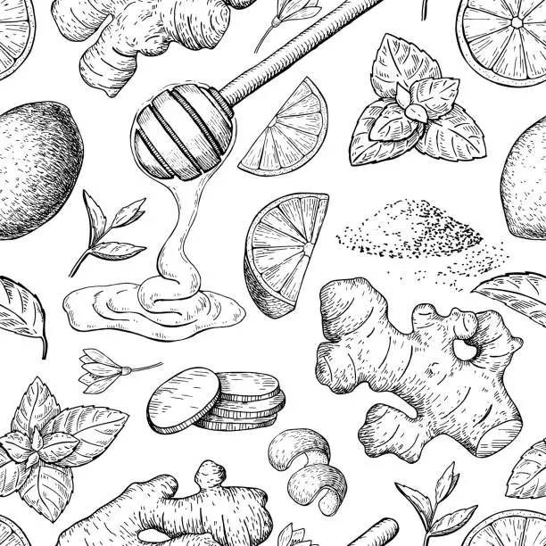 Vector illustration of Honey, ginger, lemon and mint vector seamless pattern drawing. Wooden spoon