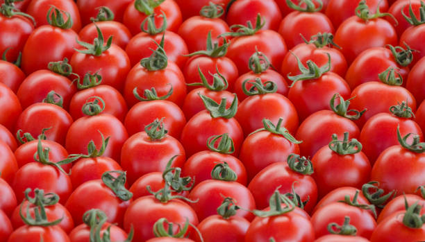 istock tomatoes ripe red, a crop of vegetables 952039344