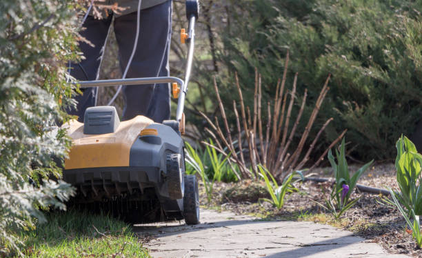 istock Gardener Operating Soil Aeration Machine on Grass Lawn 952039914