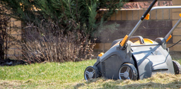 Gardener Operating Soil Aeration Machine on Grass Lawn