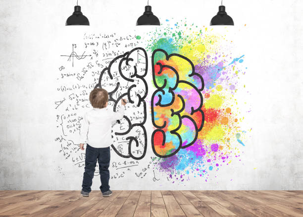 istock Cute little boy writing drawing marker brain 952040238