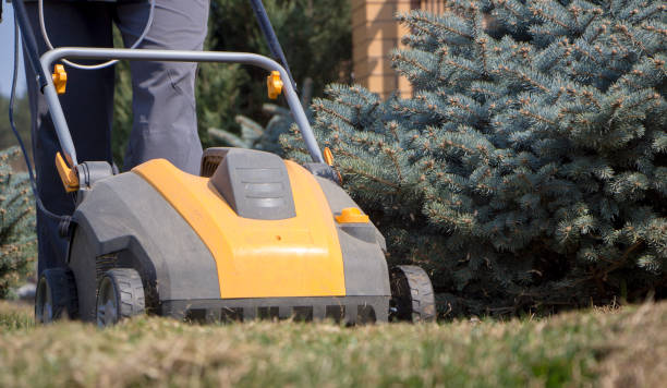 istock Gardener Operating Soil Aeration Machine on Grass Lawn 952040426