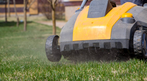 istock Gardener Operating Soil Aeration Machine on Grass Lawn 952040490