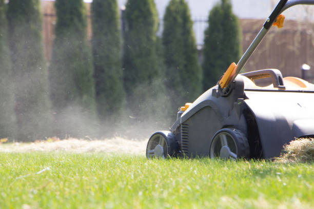 istock Gardener Operating Soil Aeration Machine on Grass Lawn 952040504
