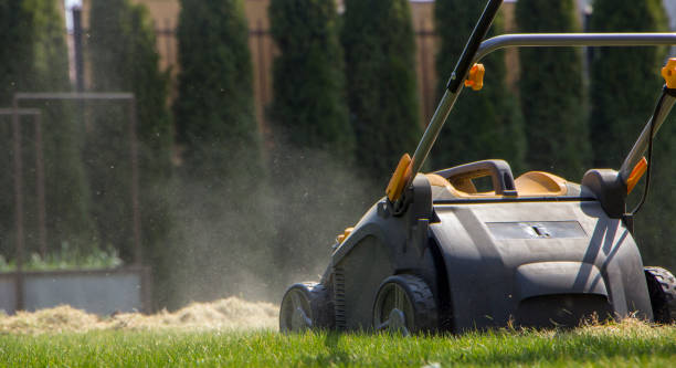 istock Gardener Operating Soil Aeration Machine on Grass Lawn 952040526
