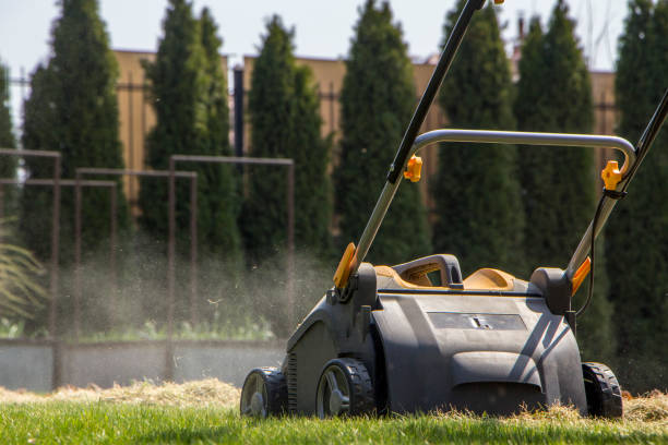 istock Gardener Operating Soil Aeration Machine on Grass Lawn 952040550