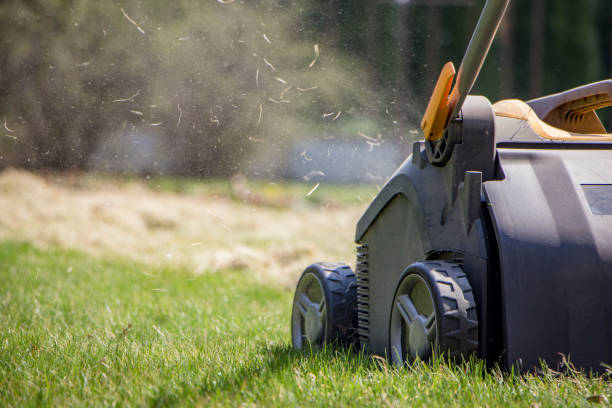 istock Gardener Operating Soil Aeration Machine on Grass Lawn 952040588
