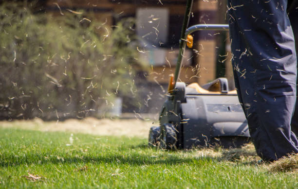 Gardener Operating Soil Aeration Machine on Grass Lawn