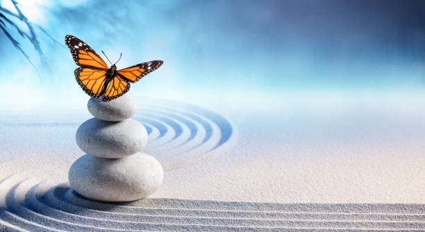 Butterfly On Spa Massage Stones In Zen Garden Japanese Rock Garden With Spa Stones And Butterfly japanese rock garden stock pictures, royalty-free photos & images