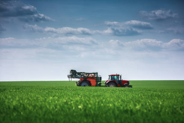 istock Farming tractor plowing and spraying on green field 952049034
