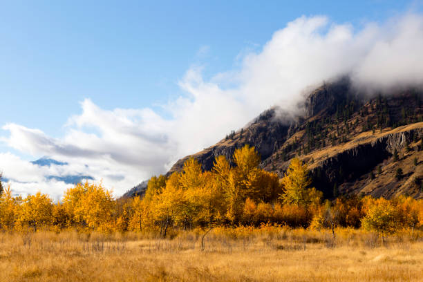 istock Autumn Fall Colors Similkameen Valley 952049802