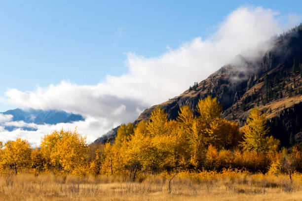 istock Autumn Fall Colors Similkameen Valley 952049858