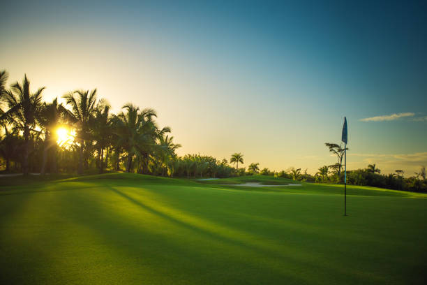 istock Golf course in the tropical caribbean island 952049894
